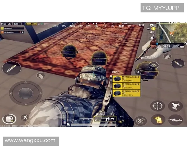 杨敏独家揭秘和平精英游戏技巧与心得分享助你成为战场高手