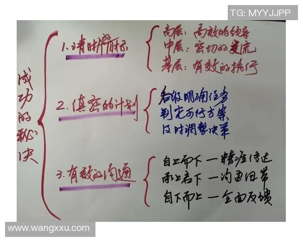 杨强专访揭秘排球成功背后的秘诀与团队精神