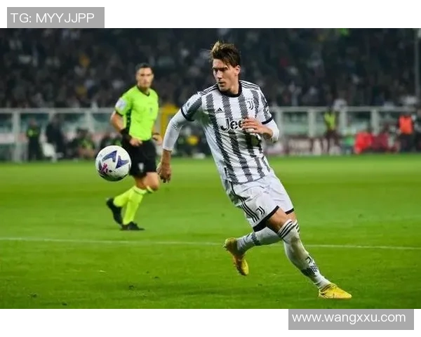 弗拉霍维奇：从天才前锋到意甲新星的成长之路与未来展望