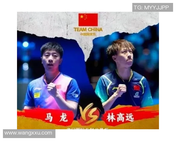 2017年林高远与马龙精彩对决视频回顾，见证乒乓球巅峰对决瞬间
