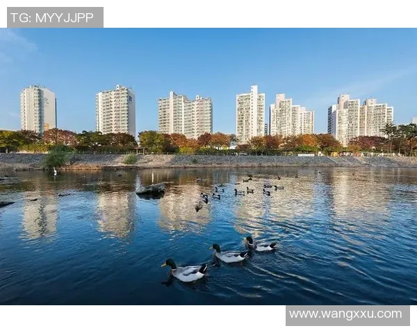 大邱与仁川城市对比分析哪个更适合居住和旅游探讨