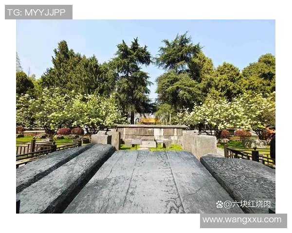 斯通斯的传奇之旅：探索音乐与文化交融的辉煌历史