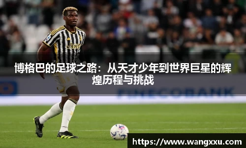 今年会平台入口