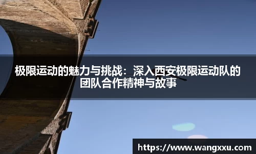 今年会平台入口