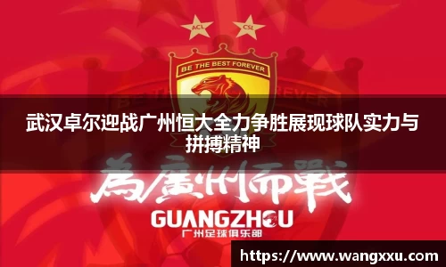 今年会平台入口