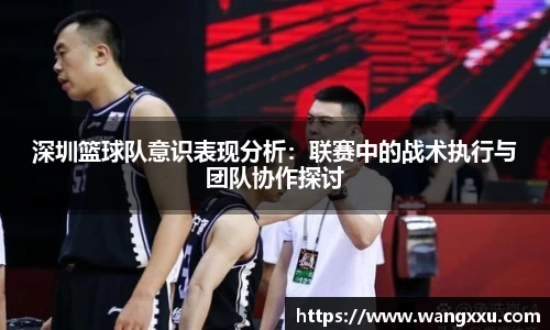 今年会平台入口